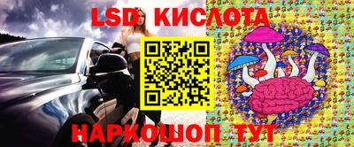гашик Кулебаки