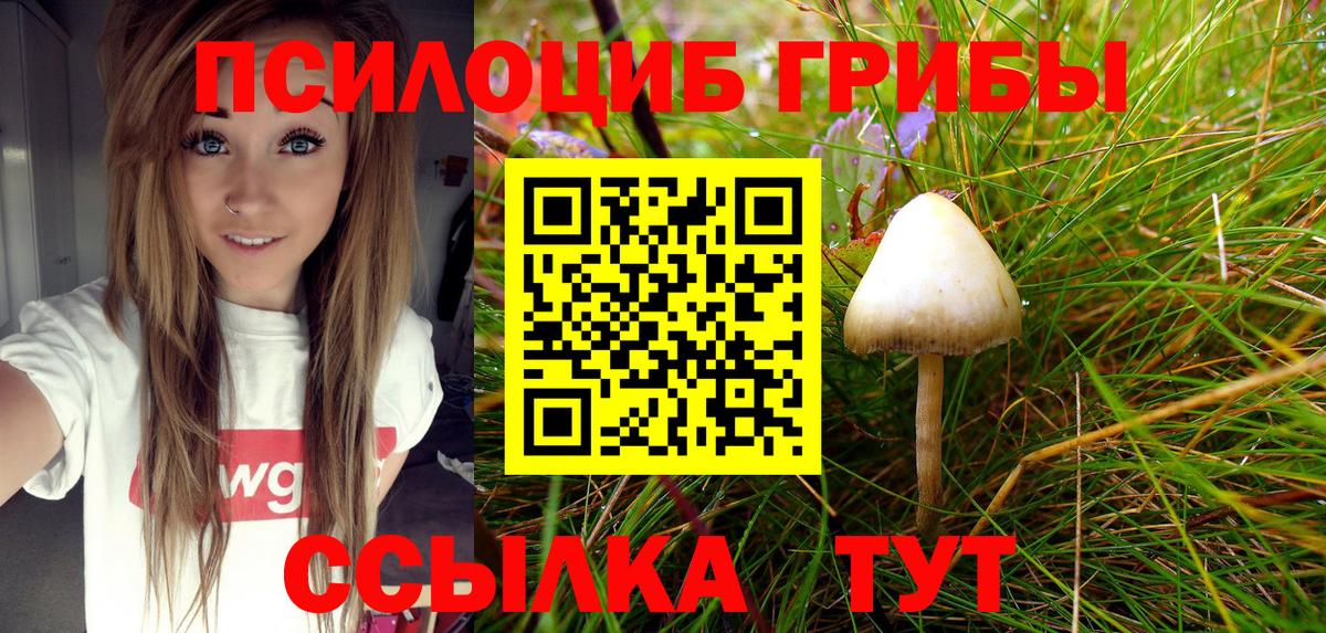 Псилоцибиновые грибы GOLDEN TEACHER Каменск-Уральский