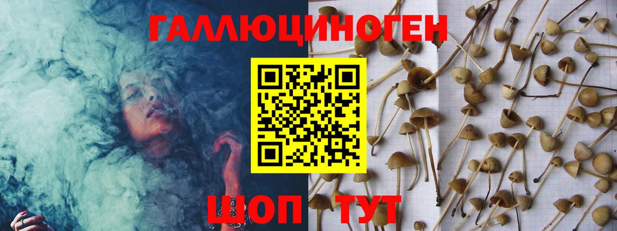 Псилоцибиновые грибы ЛСД  Псилоцибиновые грибы Psilocybine cubensis  Каменск-Уральский  Вход с VPN 